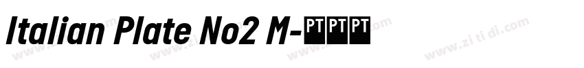 Italian Plate No2 M字体转换